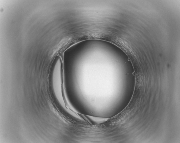 X0000086990738200704231844