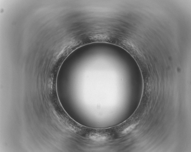 X0000086990739200704231844