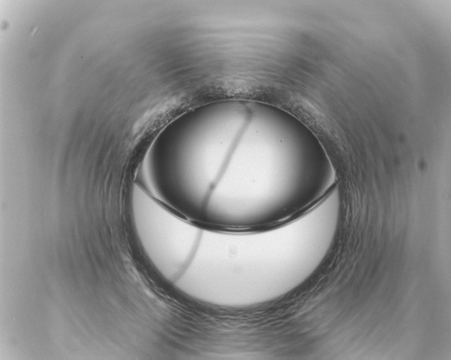 X0000086990740200704231844