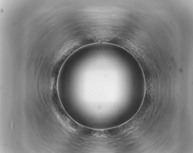 X0000086990742200704231844