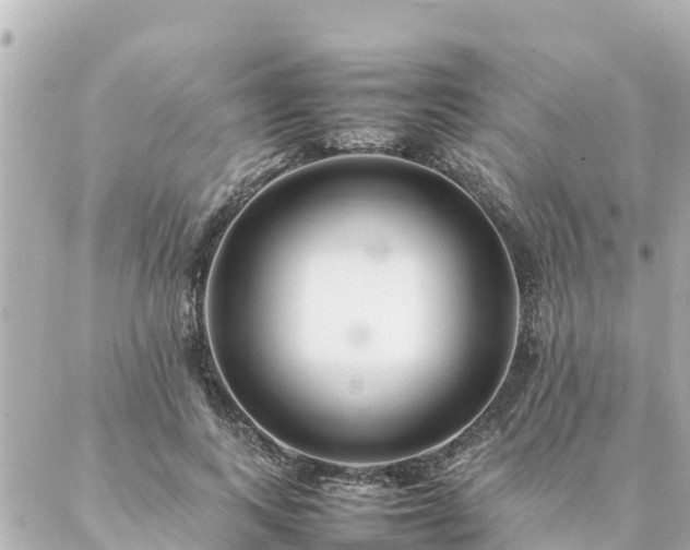 X0000086990743200704231844