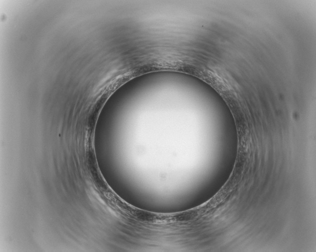 X0000086990744200704231844