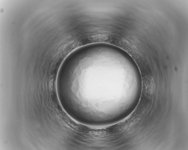 X0000086990745200704231844