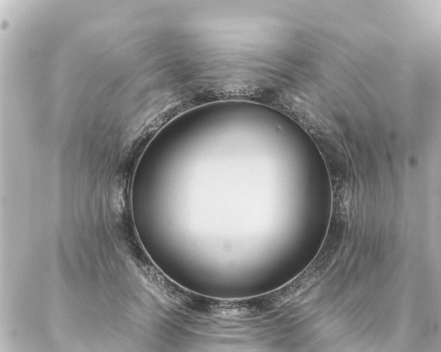 X0000086990746200704231844