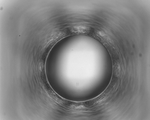 X0000086990747200704231844