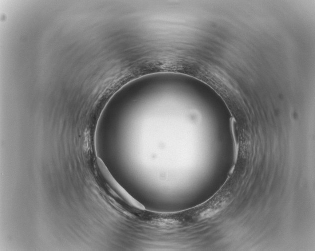 X0000086990748200704231844