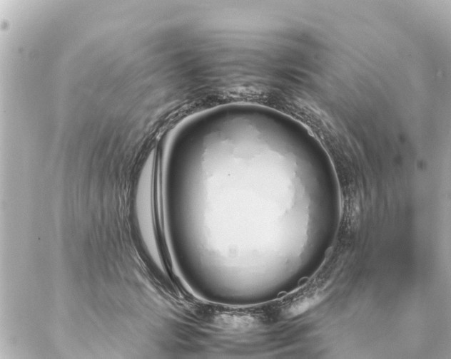 X0000086990749200704231844