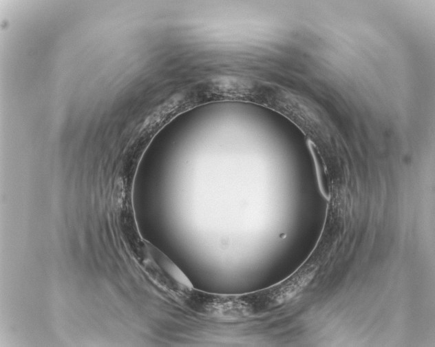 X0000086990752200704231844