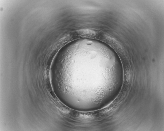 X0000086990753200704231844