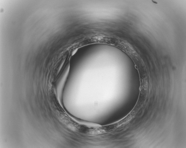 X0000086990754200704231844