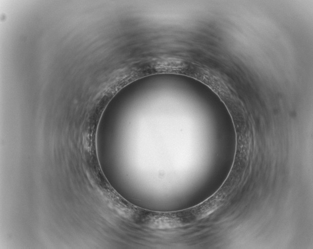 X0000086990755200704231844