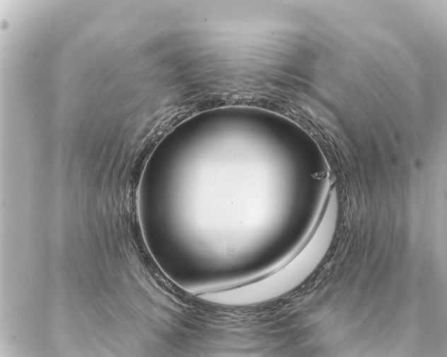 X0000086990756200704231844