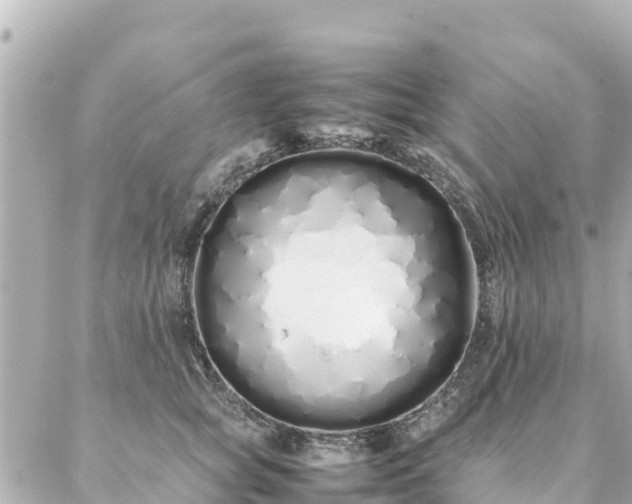 X0000086990757200704231844