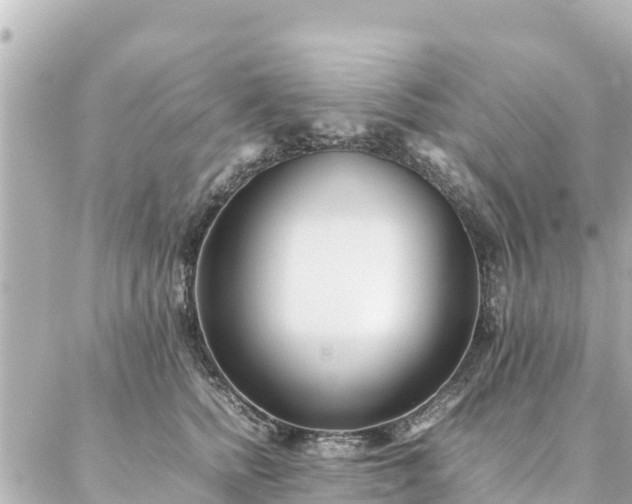 X0000086990758200704231844