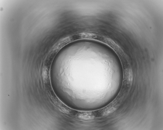 X0000086990761200704231845