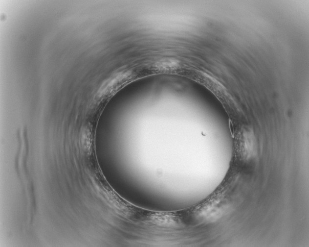 X0000086990762200704231845