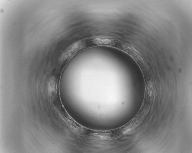 X0000086990763200704231845