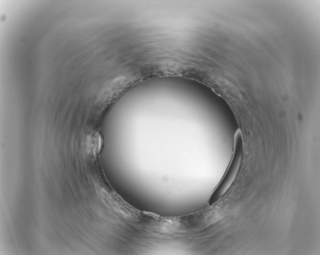 X0000086990768200704231845