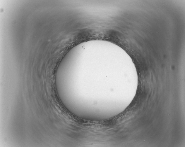 X0000086990769200704231844