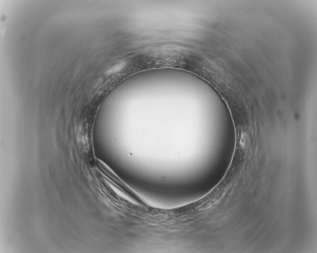 X0000086990771200704231844