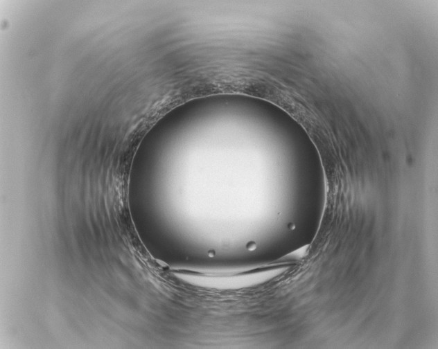 X0000086990772200704231844