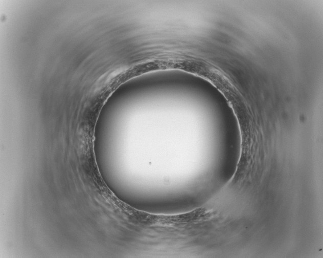 X0000086990773200704231844