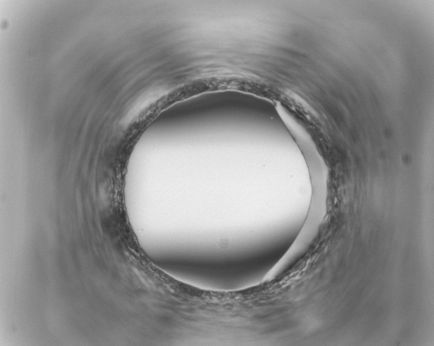 X0000086990775200704231844