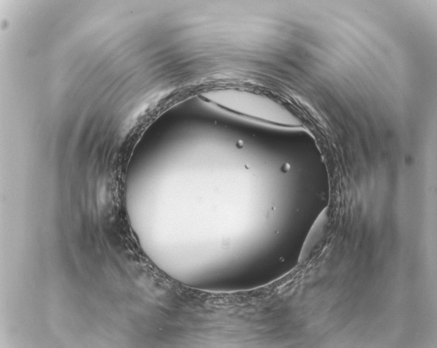 X0000086990776200704231844