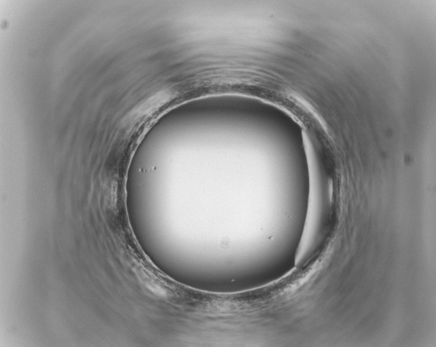 X0000086990777200704231844