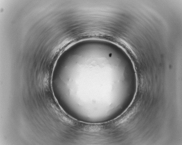 X0000086990778200704231844