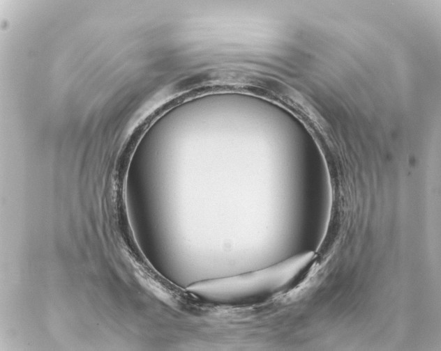 X0000086990779200704231844