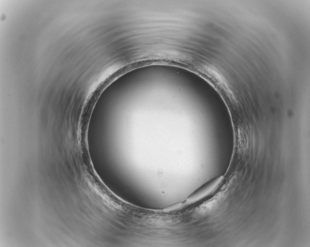 X0000086990780200704231844