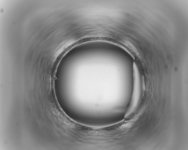 X0000086990781200704231844