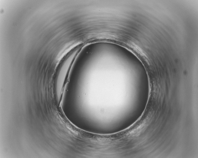 X0000086990782200704231844