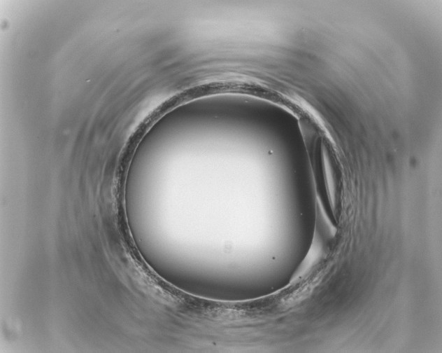 X0000086990783200704231844