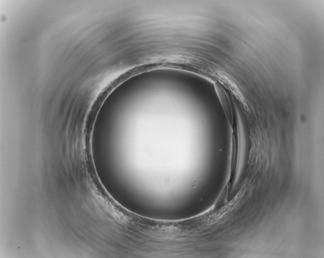 X0000086990784200704231844