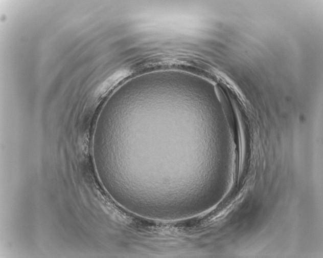 X0000086990785200704231844