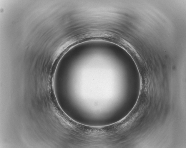 X0000086990786200704231844