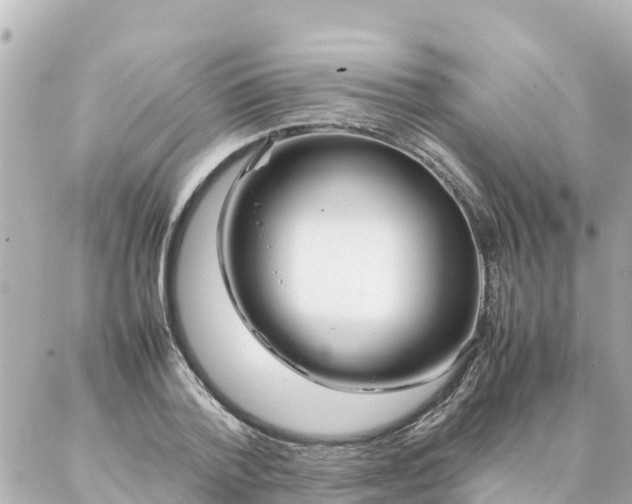 X0000086990788200704231844