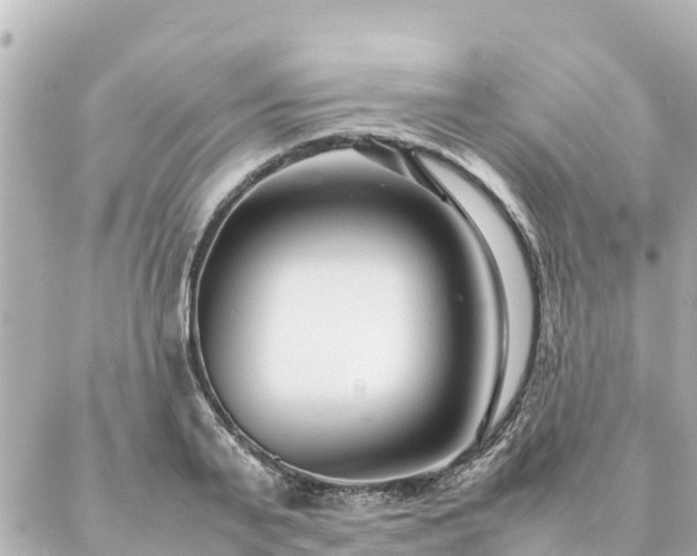 X0000086990791200704231844