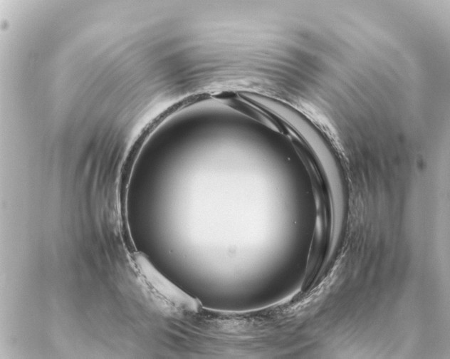 X0000086990792200704231844