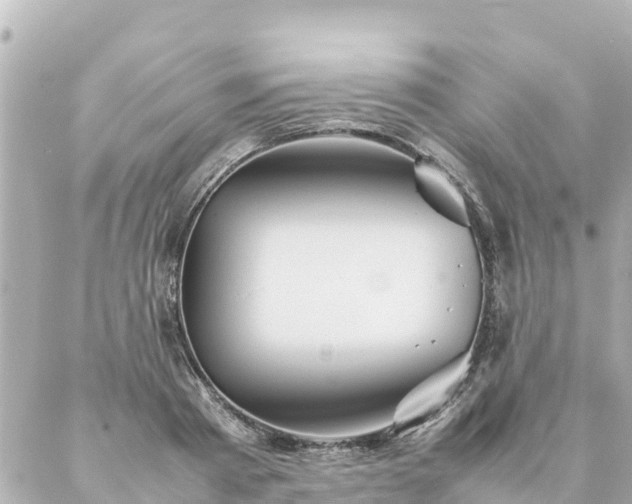 X0000086990793200704231843