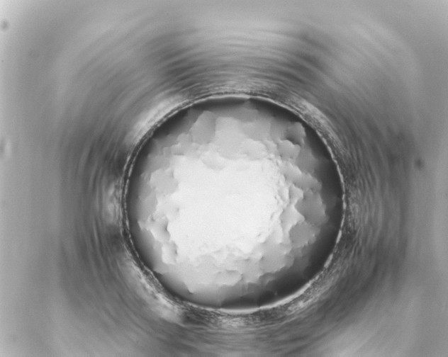 X0000086990794200704231843