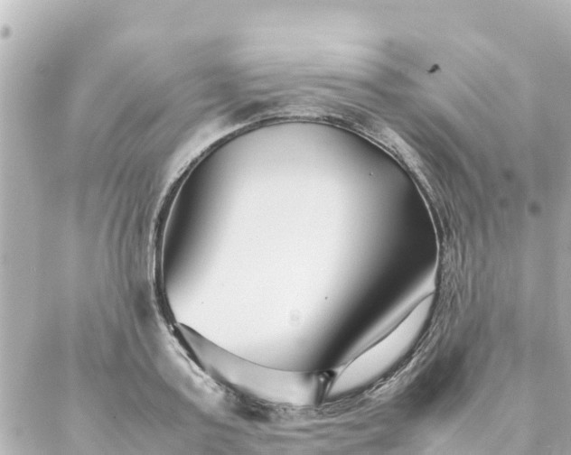 X0000086990795200704231843