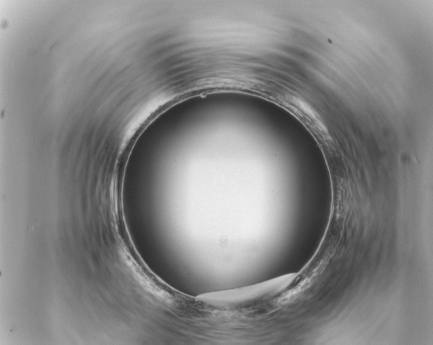 X0000086990796200704231843