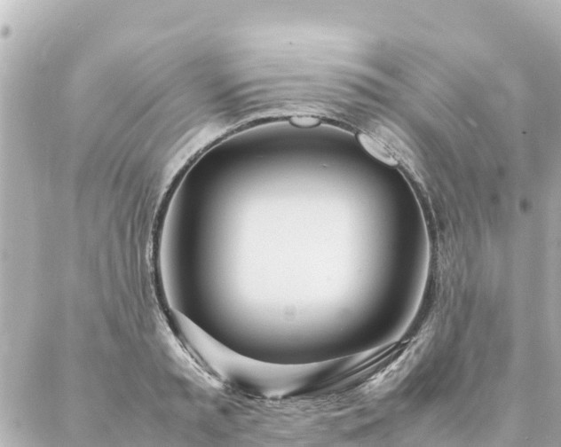 X0000086990797200704231843