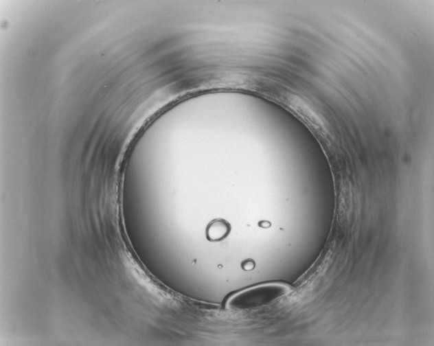 X0000086990800200704231843