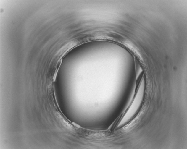 X0000086990801200704231843