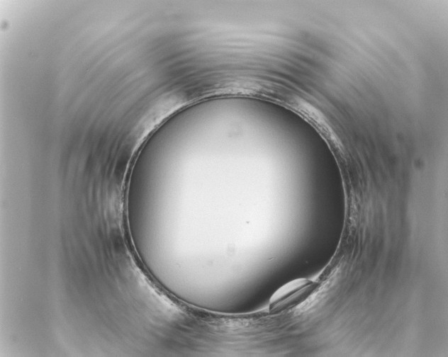 X0000086990802200704231843