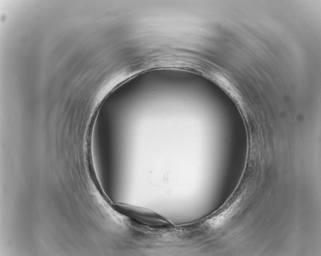 X0000086990803200704231843